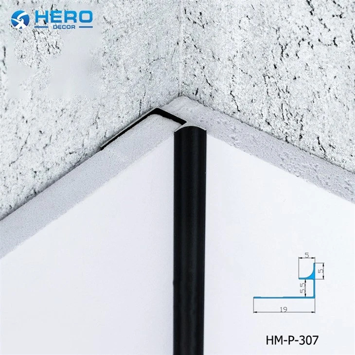 HM-P-307 (1)
